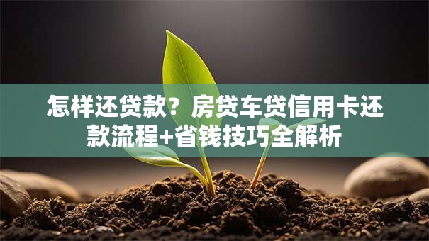 怎样还贷款？房贷车贷信用卡还款流程+省钱技巧全解析