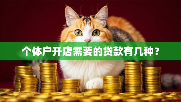 个体户开店需要的贷款有几种？