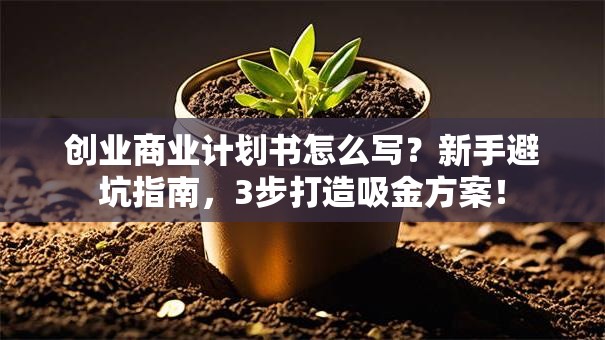 创业商业计划书怎么写？新手避坑指南，3步打造吸金方案！