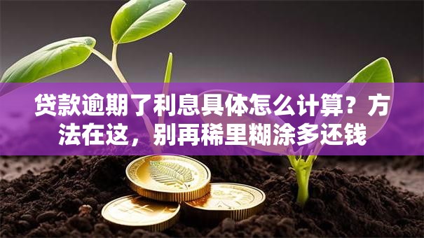 贷款逾期了利息具体怎么计算？方法在这，别再稀里糊涂多还钱