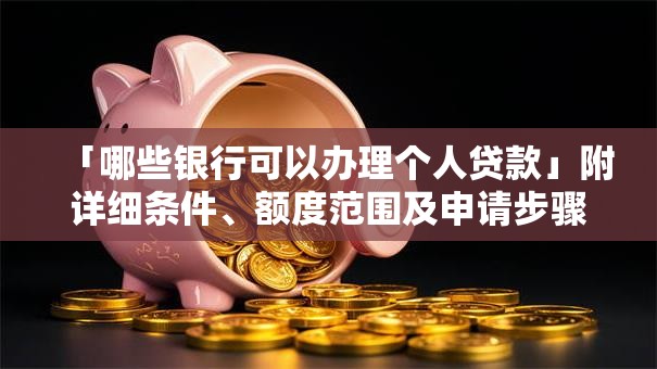 「哪些银行可以办理个人贷款」附详细条件、额度范围及申请步骤，新手也能看懂