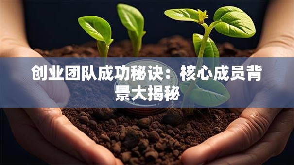 创业团队成功秘诀：核心成员背景大揭秘