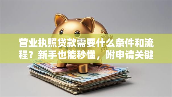 营业执照贷款需要什么条件和流程？新手也能秒懂，附申请关键细节