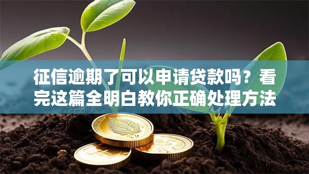 征信逾期了可以申请贷款吗？看完这篇全明白教你正确处理方法