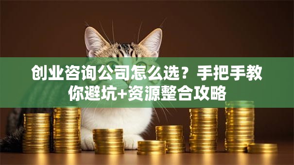 创业咨询公司怎么选？手把手教你避坑+资源整合攻略
