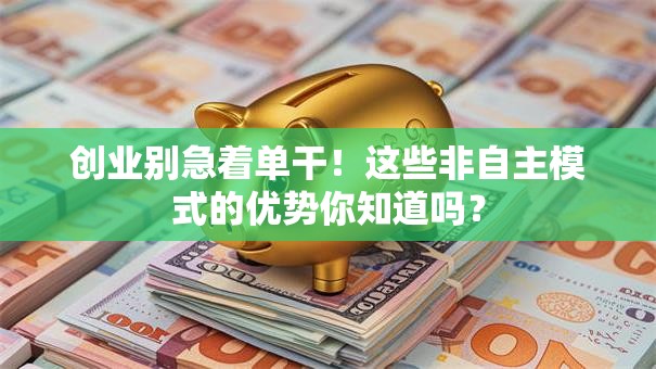 创业别急着单干！这些非自主模式的优势你知道吗？