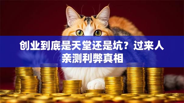 创业到底是天堂还是坑？过来人亲测利弊真相