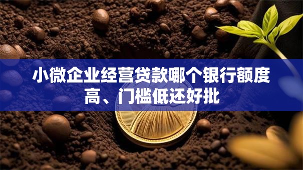 小微企业经营贷款哪个银行额度高、门槛低还好批