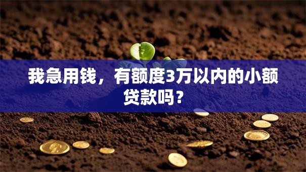 我急用钱，有额度3万以内的小额贷款吗？