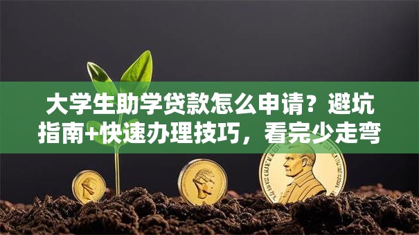 大学生助学贷款怎么申请？避坑指南+快速办理技巧，看完少走弯路