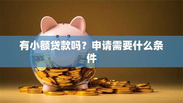 有小额贷款吗？申请需要什么条件