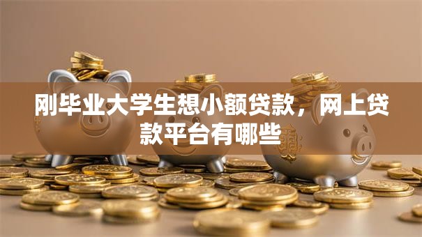 刚毕业大学生想小额贷款，网上贷款平台有哪些