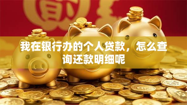 我在银行办的个人贷款，怎么查询还款明细呢