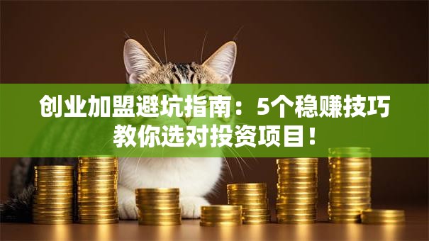 创业加盟避坑指南：5个稳赚技巧教你选对投资项目！