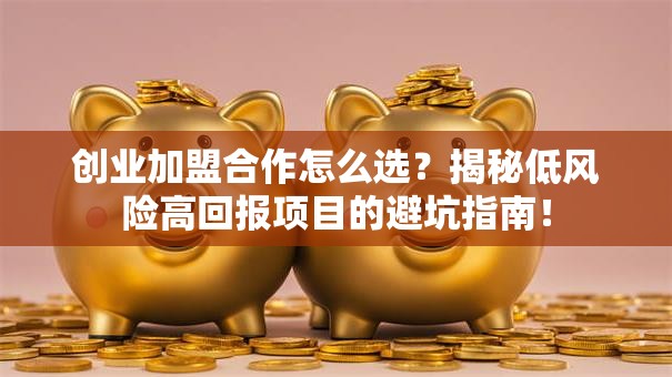 创业加盟合作怎么选？揭秘低风险高回报项目的避坑指南！