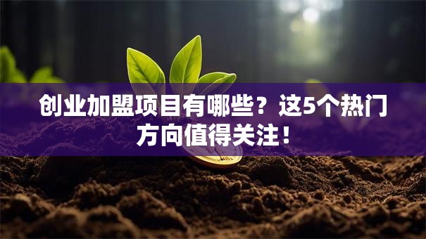 创业加盟项目有哪些？这5个热门方向值得关注！