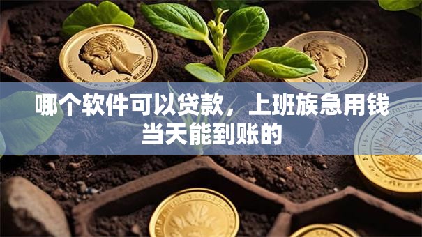 哪个软件可以贷款，上班族急用钱当天能到账的
