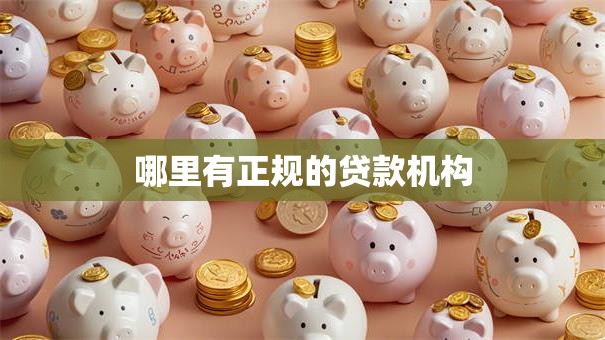 哪里有正规的贷款机构