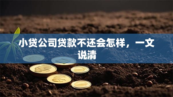 小贷公司贷款不还会怎样，一文说清