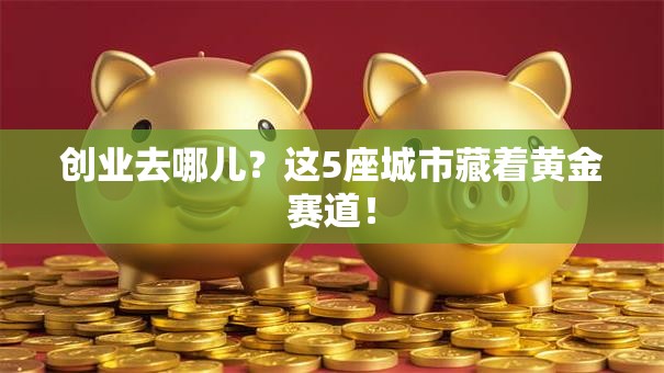 创业去哪儿？这5座城市藏着黄金赛道！