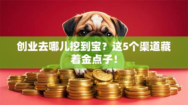 创业去哪儿挖到宝？这5个渠道藏着金点子！