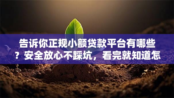 告诉你正规小额贷款平台有哪些？安全放心不踩坑，看完就知道怎么选