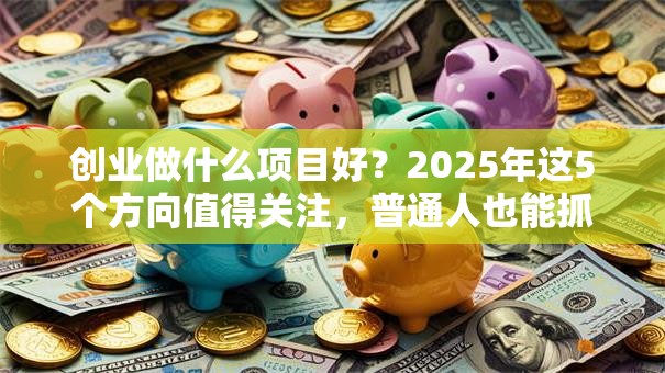 创业做什么项目好？2025年这5个方向值得关注，普通人也能抓住机会！
