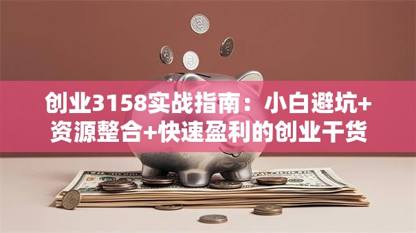 创业3158实战指南：小白避坑+资源整合+快速盈利的创业干货
