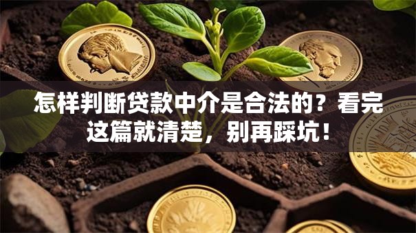 怎样判断贷款中介是合法的？看完这篇就清楚，别再踩坑！