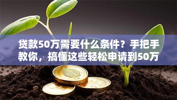 贷款50万需要什么条件？手把手教你，搞懂这些轻松申请到50万贷款