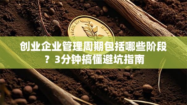 创业企业管理周期包括哪些阶段？3分钟搞懂避坑指南