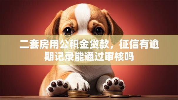 二套房用公积金贷款，征信有逾期记录能通过审核吗