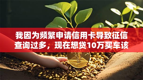 我因为频繁申请信用卡导致征信查询过多,现在想贷10万买车该怎么办? 我因为频繁申请信用卡导致征信查询过多,现在想贷10万买车该怎么办?