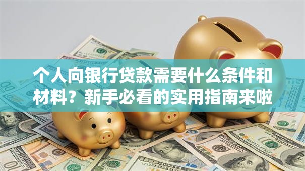 个人向银行贷款需要什么条件和材料？新手必看的实用指南来啦