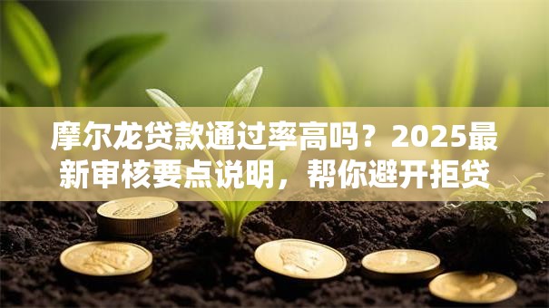 摩尔龙贷款通过率高吗？2025最新审核要点说明，帮你避开拒贷坑