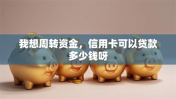 我想周转资金，信用卡可以贷款多少钱呀