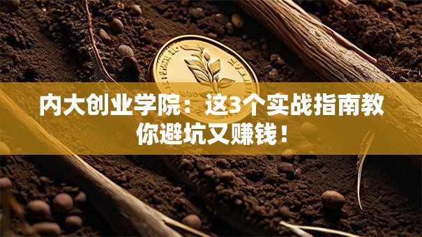 内大创业学院：这3个实战指南教你避坑又赚钱！