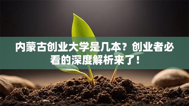 内蒙古创业大学是几本？创业者必看的深度解析来了！