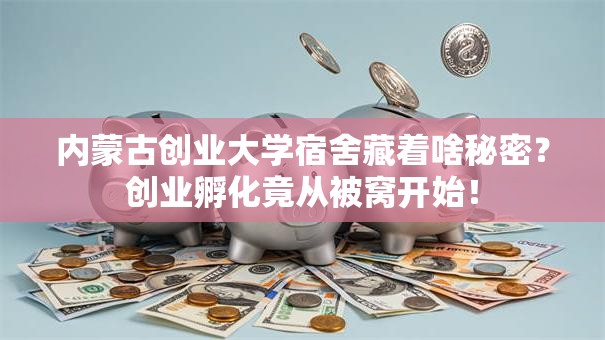 内蒙古创业大学宿舍藏着啥秘密？创业孵化竟从被窝开始！