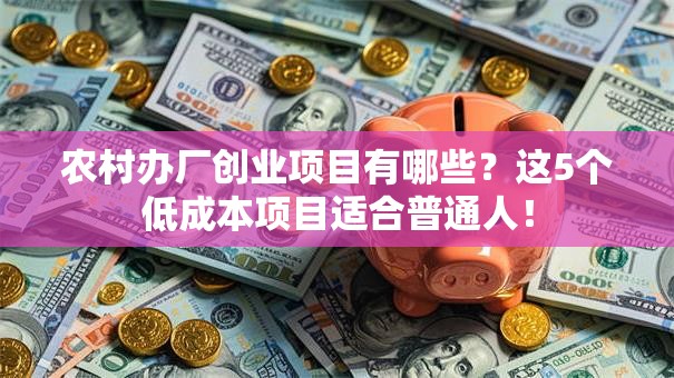 农村办厂创业项目有哪些？这5个低成本项目适合普通人！