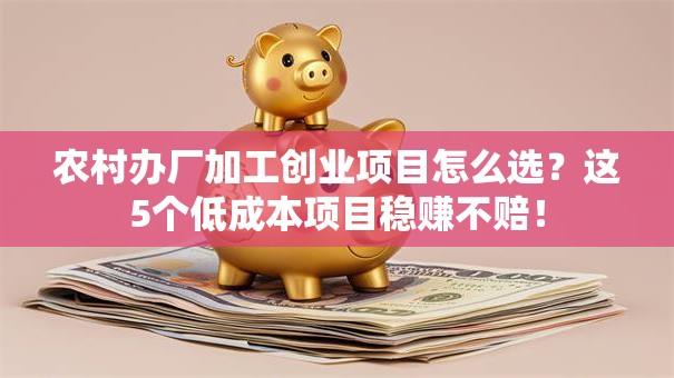 农村办厂加工创业项目怎么选？这5个低成本项目稳赚不赔！