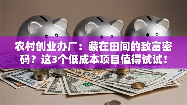 农村创业办厂：藏在田间的致富密码？这3个低成本项目值得试试！