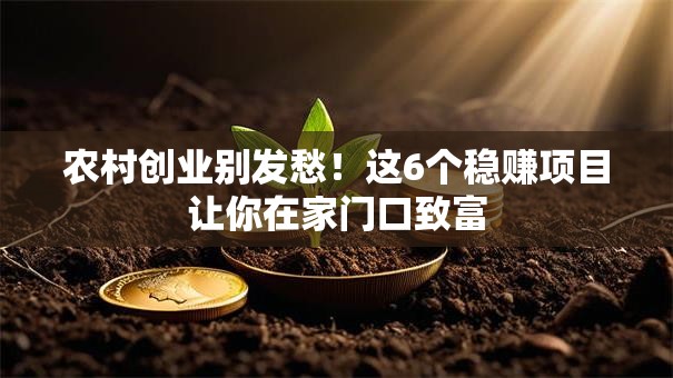 农村创业别发愁！这6个稳赚项目让你在家门口致富