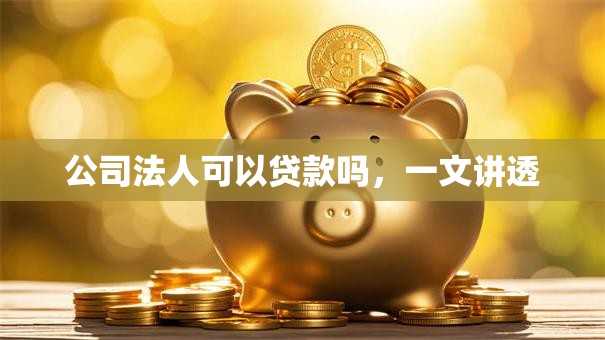 公司法人可以贷款吗，一文讲透