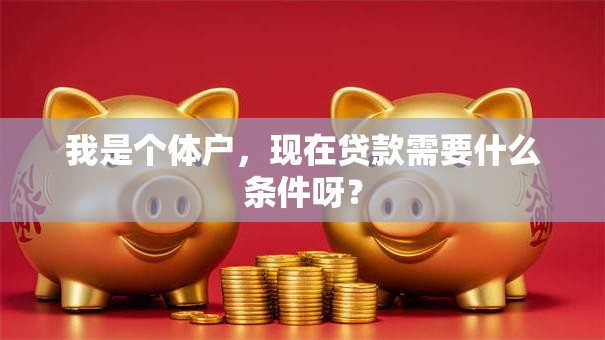 我是个体户，现在贷款需要什么条件呀？