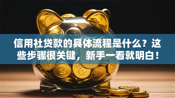 信用社贷款的具体流程是什么？这些步骤很关键，新手一看就明白！