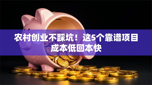 农村创业不踩坑！这5个靠谱项目成本低回本快