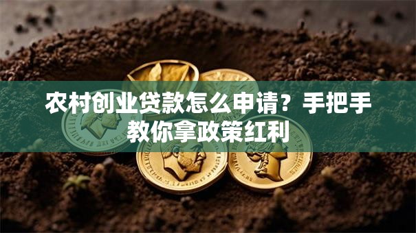 农村创业贷款怎么申请？手把手教你拿政策红利