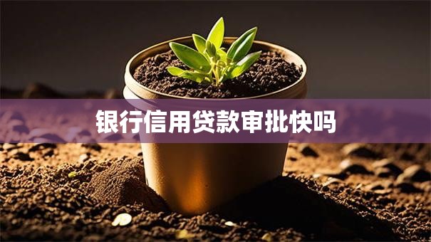 银行信用贷款审批快吗