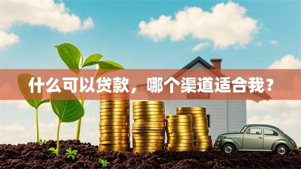 什么可以贷款，哪个渠道适合我？